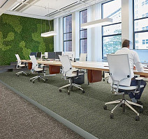 Tessera Nexus 3507 Share фото 2 | FLOORDEALER